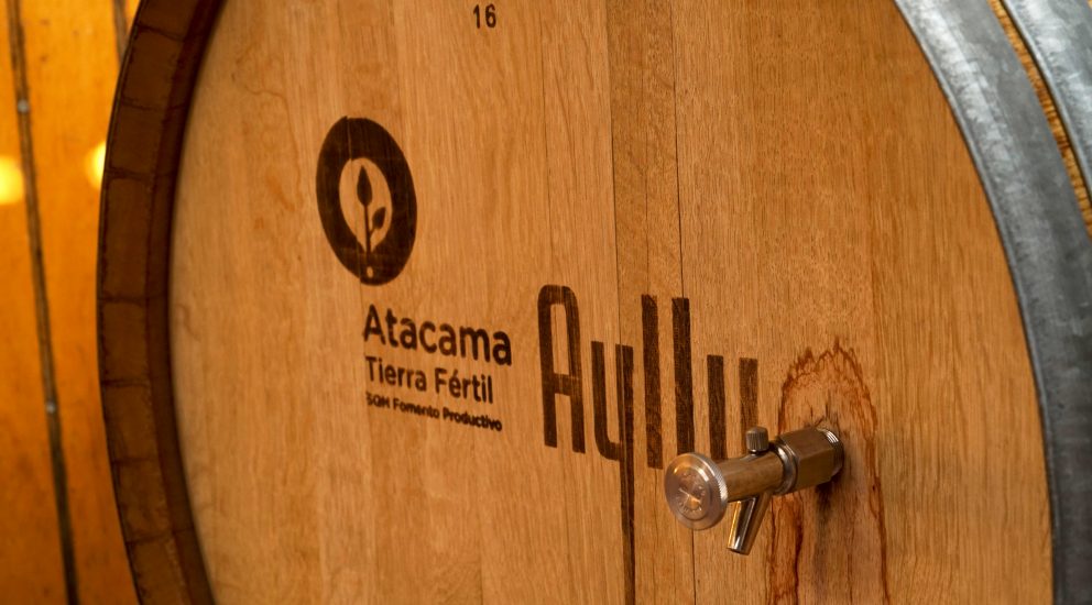 Barril vinatero atacama tierra fertil